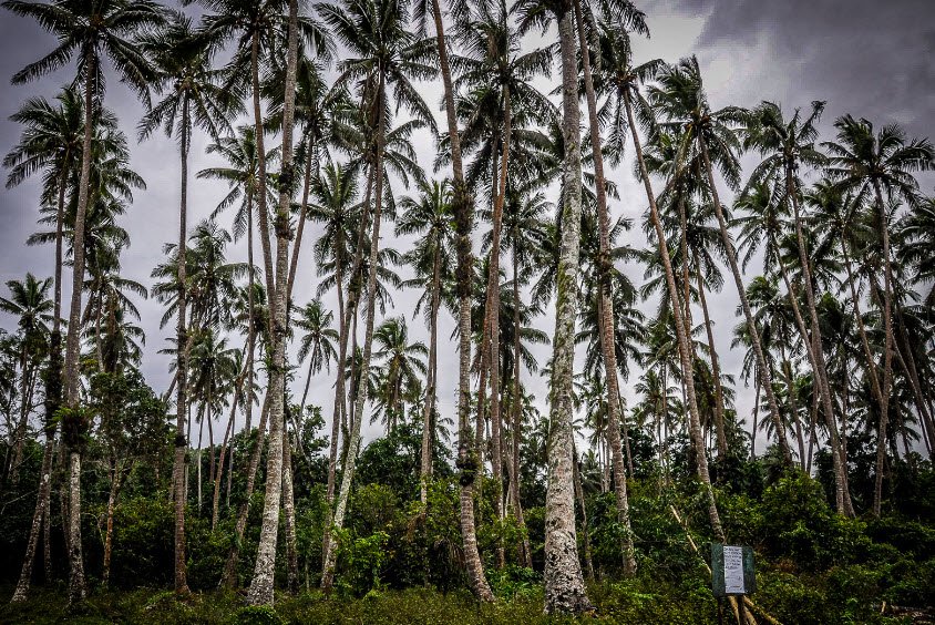 Pentecost Island, Pentecost Island, Vanuatu